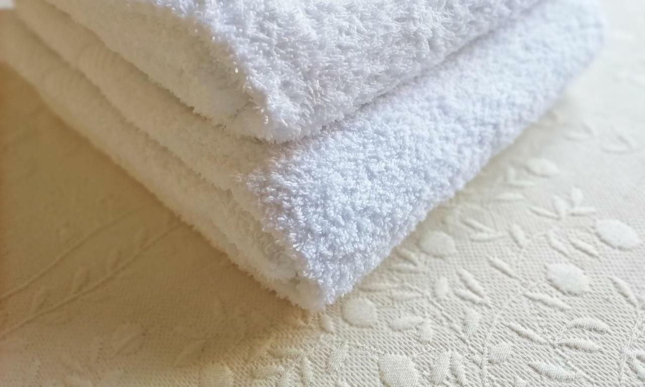 L'Alloggio Di Anna Maria Camera Con Bagno Privato Empoli Kültér fotó